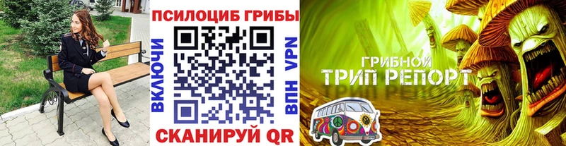Галлюциногенные грибы ЛСД Пошехонье