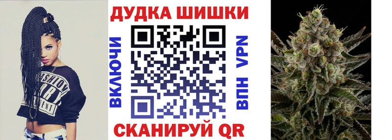 закладка  Пошехонье  Шишки марихуана гибрид 